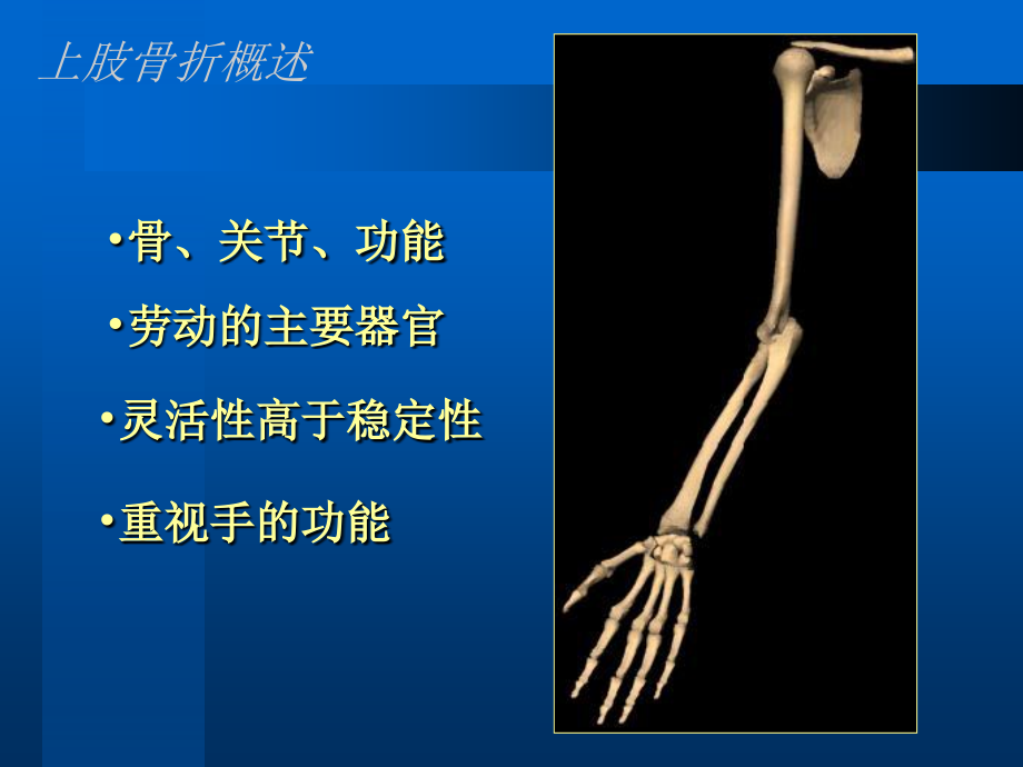 《中医骨伤科学》教学课件：上肢骨折_第2页