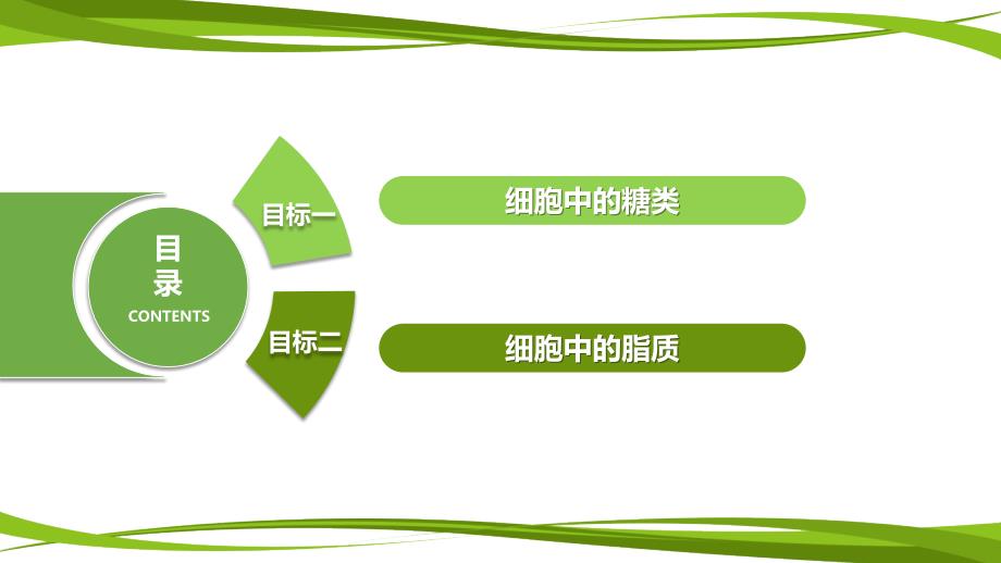 【公开课】细胞中的糖类和脂质课件2023-2024学年高一上学期生物人教版必修1_第4页