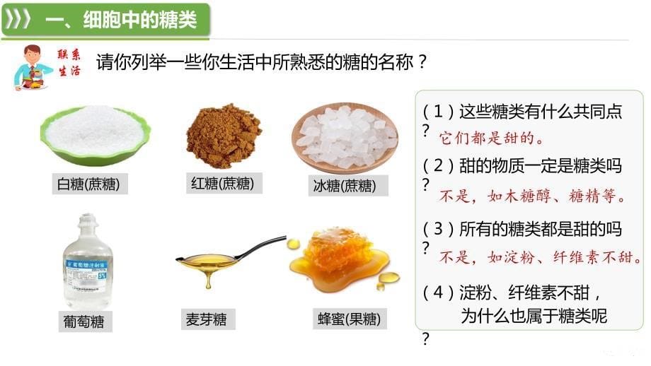 【公开课】细胞中的糖类和脂质课件2023-2024学年高一上学期生物人教版必修1_第5页