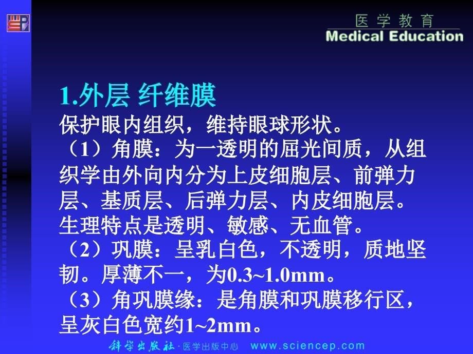 2第1章眼科应用解剖及生理_第5页