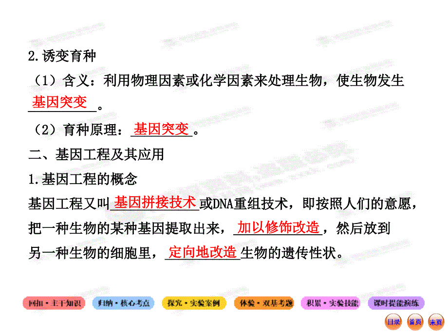 江苏专用高中生物全程复习方略配套课件第六章从杂交育种到基因工程_第3页