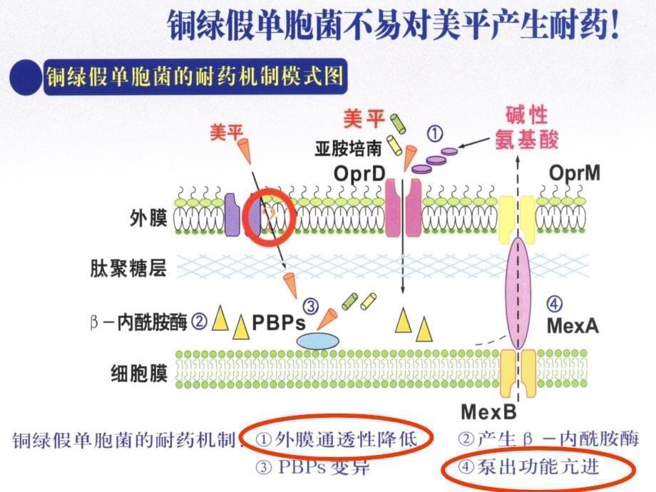 美平与泰能差异之热点问题_第5页