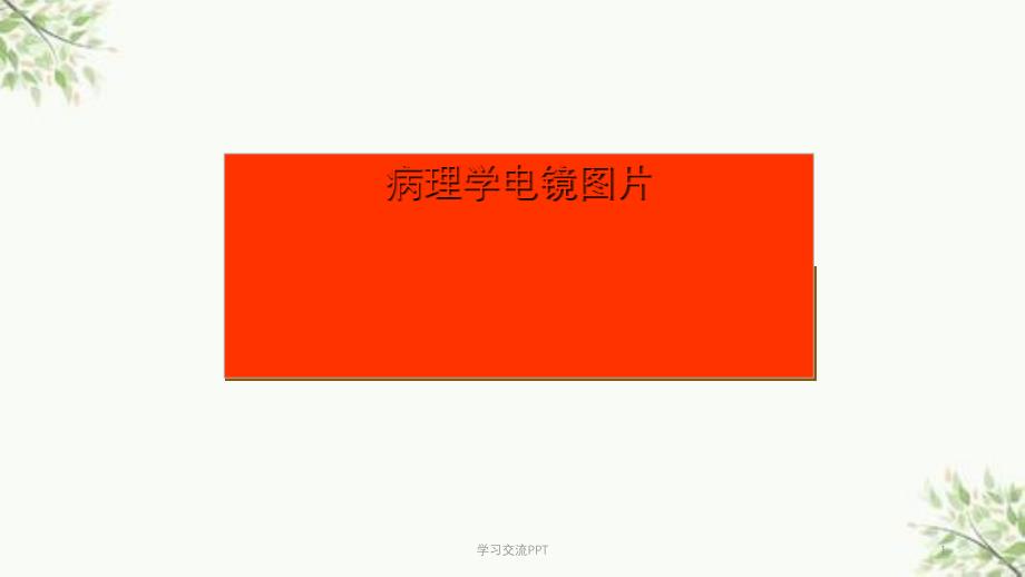 病理学实习指导电镜图片课件_第1页