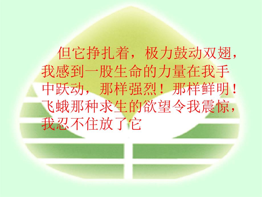 《生命_生命》课件_第4页