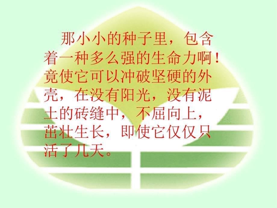 《生命_生命》课件_第5页