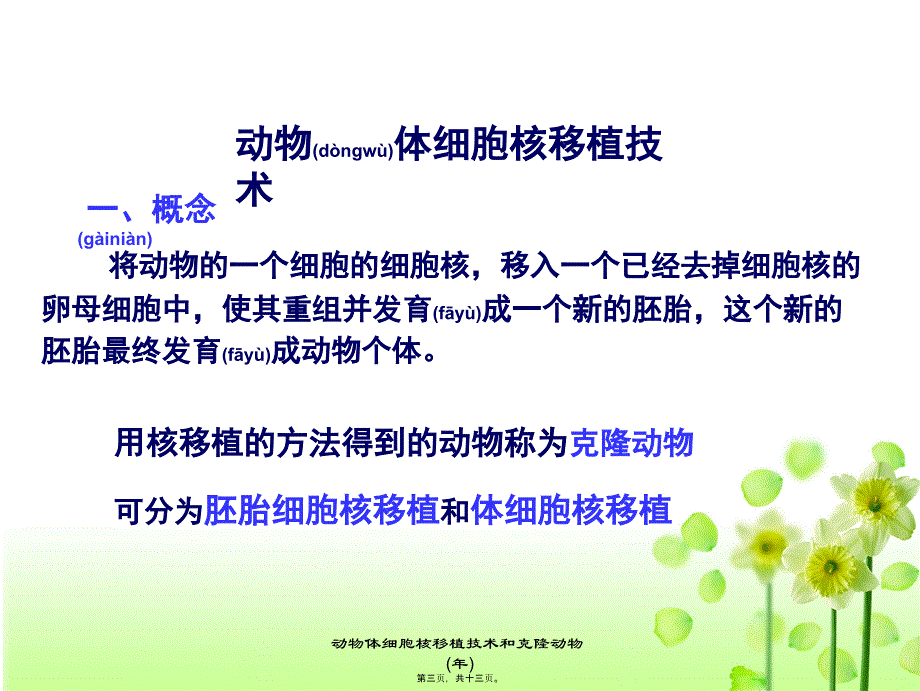 动物体细胞核移植技术和克隆动物(年)课件_第3页