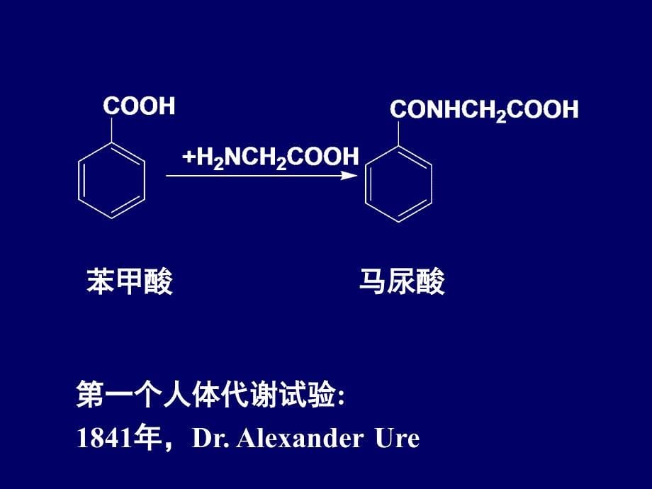 第五章药物代谢ppt课件_第5页