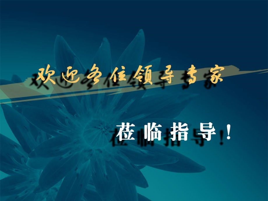 武汉至广州客运专线乌龙泉至花都段初步设计汇报_第1页