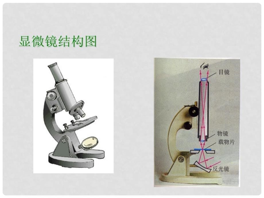 八年级物理上册 第5章 透镜及其应用 第5节 显微镜和望远镜教学课件 （新版）新人教版_第5页