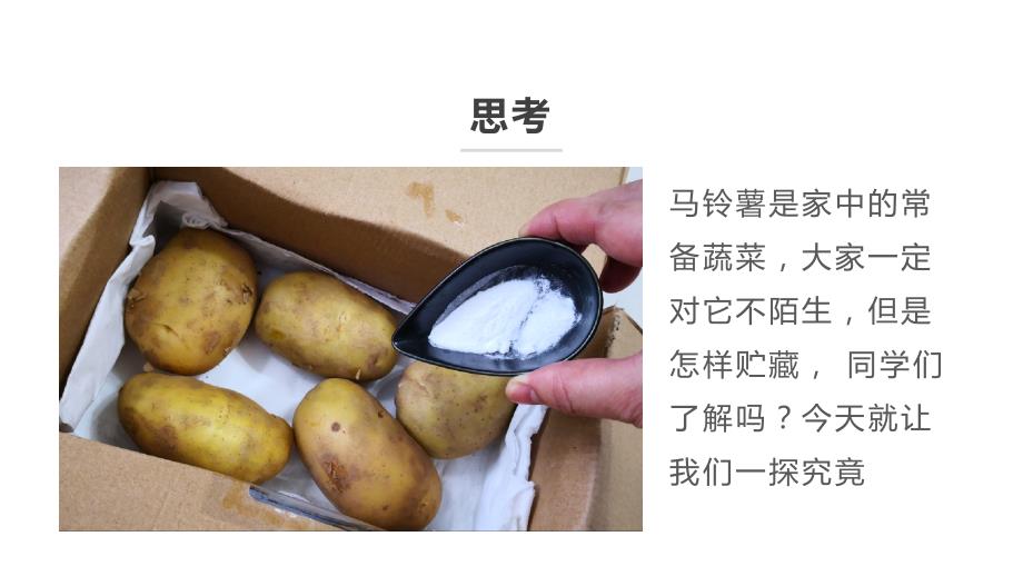 11 贮藏马铃薯 课件 小学劳动六年级上册（人教版）_第4页