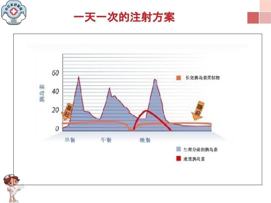 胰岛素规范注射课件_第5页