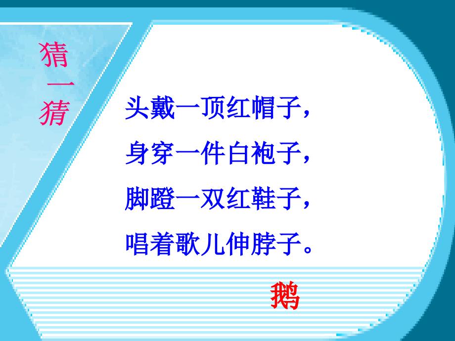 《咏鹅》ppt课件.ppt_第1页