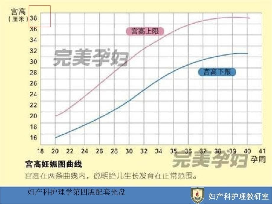 高危妊娠护理_第5页