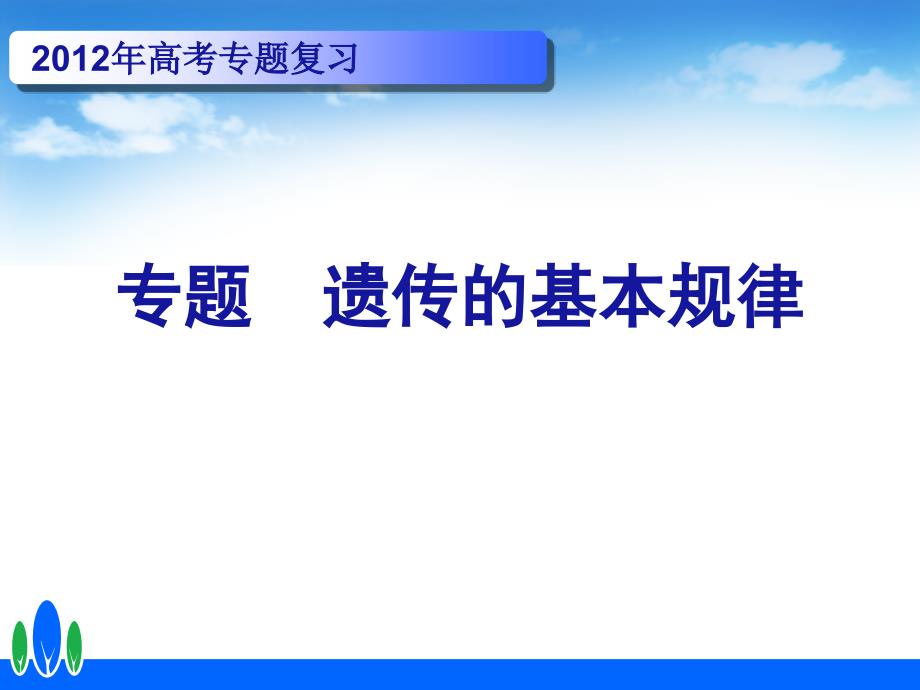 遗传的基本规律_第1页