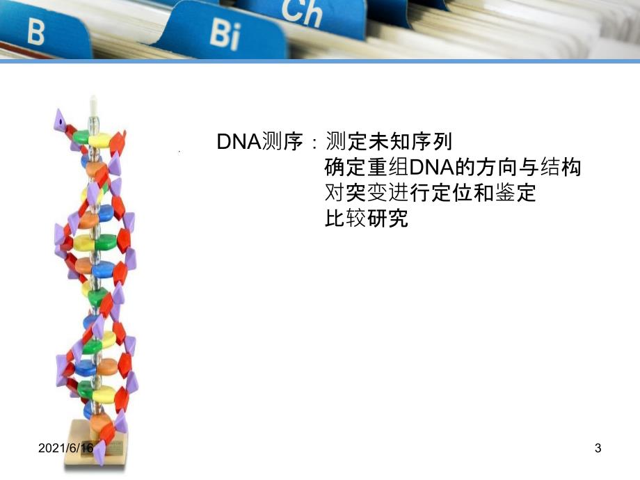 DNA测序化学降解法_第3页