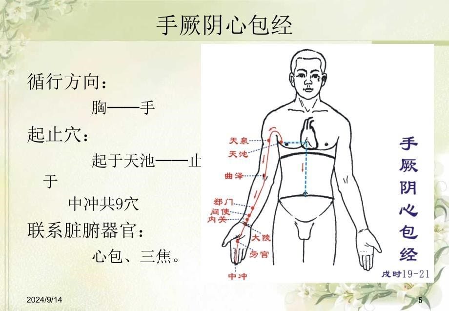 中医经络之手厥阴心包经课件_第5页