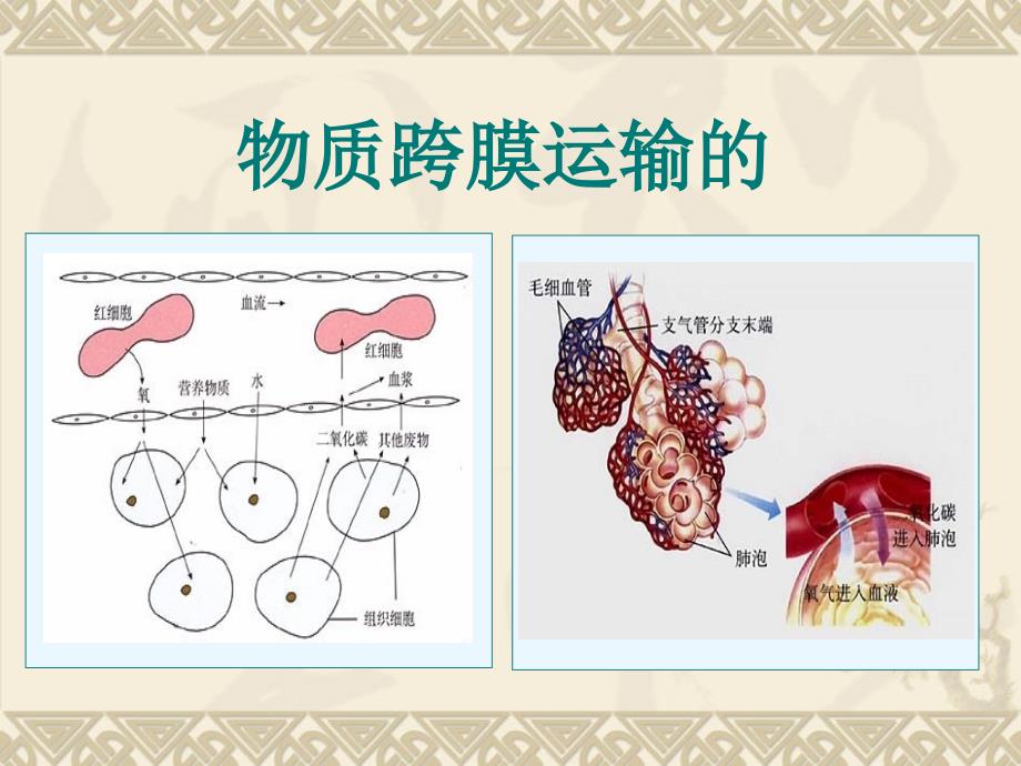 物质跨膜运输的方式.讲ppt_第1页