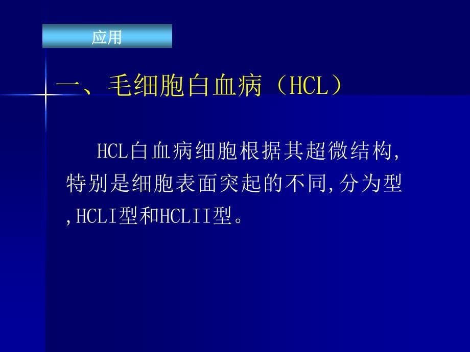 电子显微镜技术在白血病诊断的应用_第5页