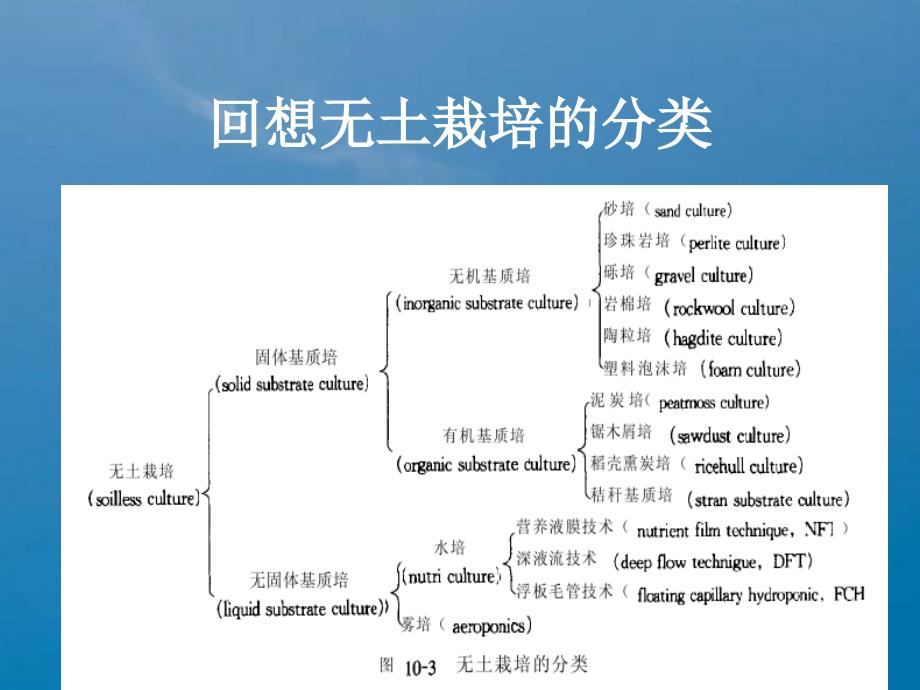 无土栽培的主要形式及管理技术ppt课件_第3页