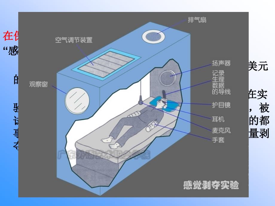 信息与信息技术教学PPT_第4页