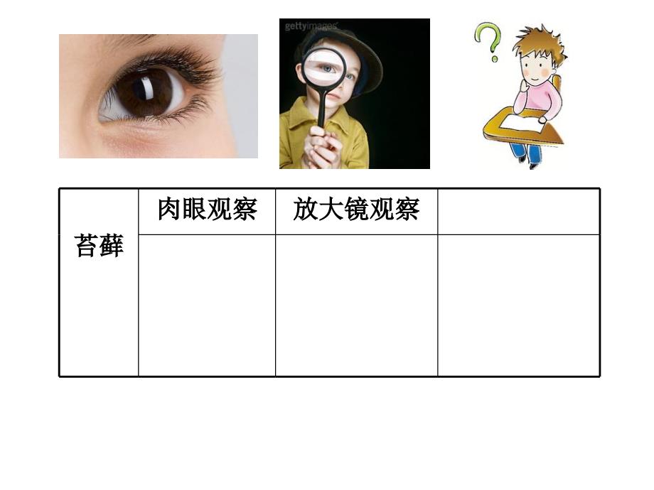 六年级下册科学怎样放的更大教科版课件_第2页