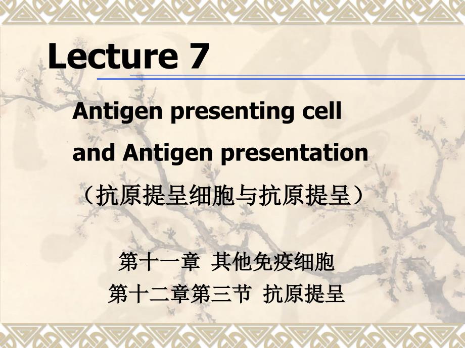 《医学免疫学教学课件》07apca_第1页