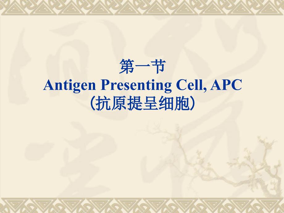 《医学免疫学教学课件》07apca_第3页