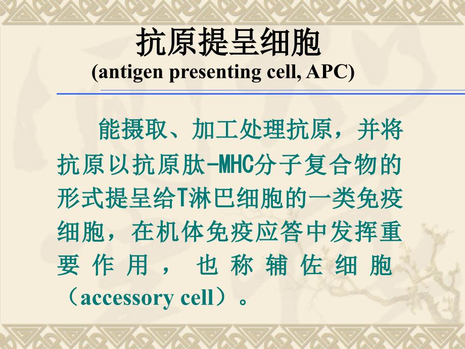 《医学免疫学教学课件》07apca_第4页