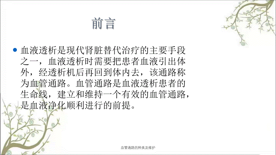 血管通路的种类及维护_第2页