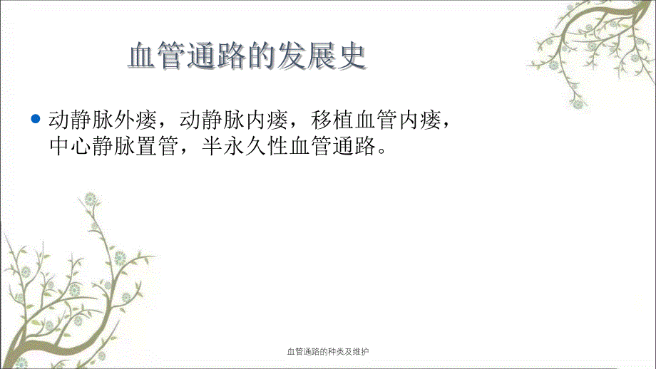 血管通路的种类及维护_第3页