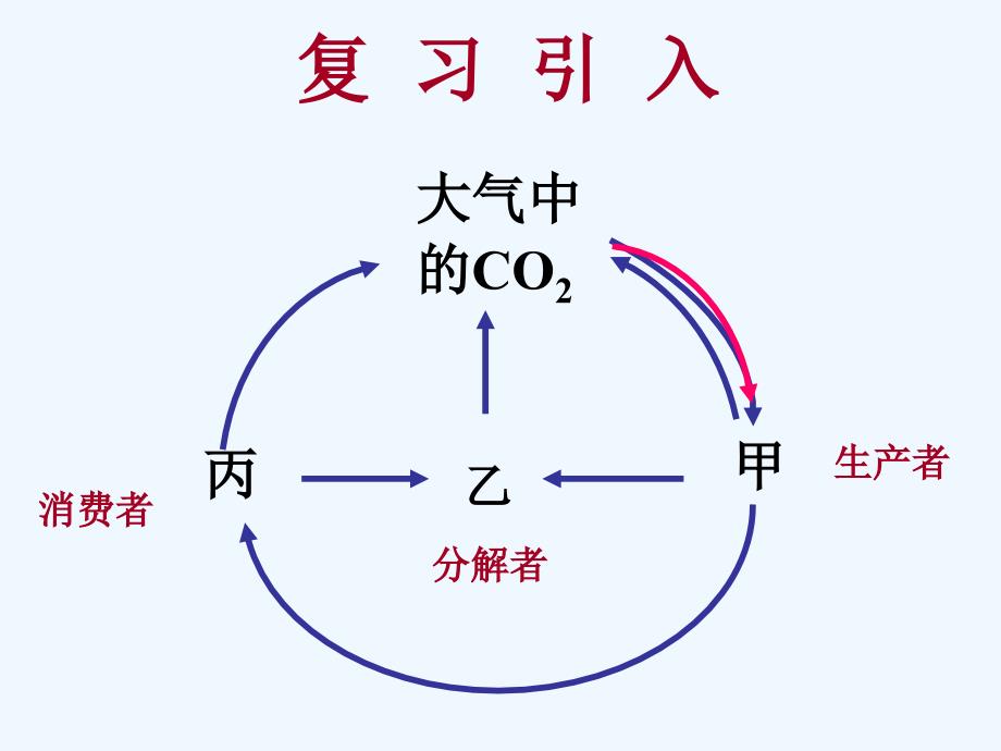 高中生物 5-2《生态系统的能量流动》课件 新人教版必修3_第2页