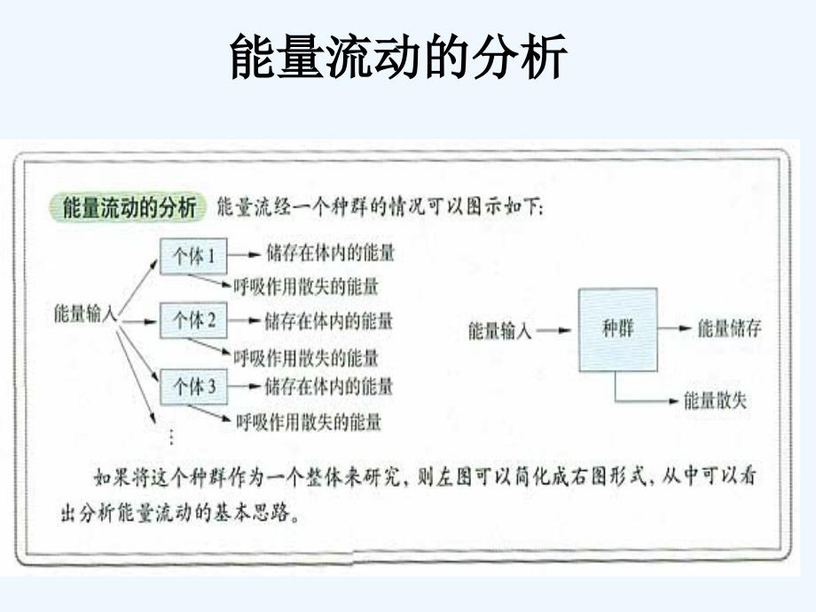 高中生物 5-2《生态系统的能量流动》课件 新人教版必修3_第3页