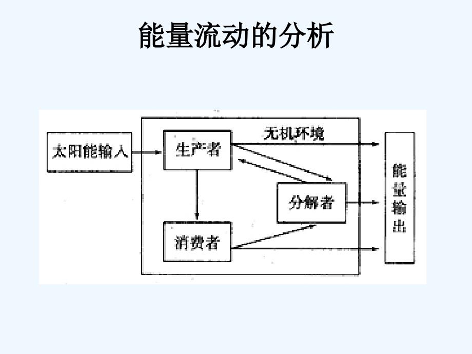 高中生物 5-2《生态系统的能量流动》课件 新人教版必修3_第4页