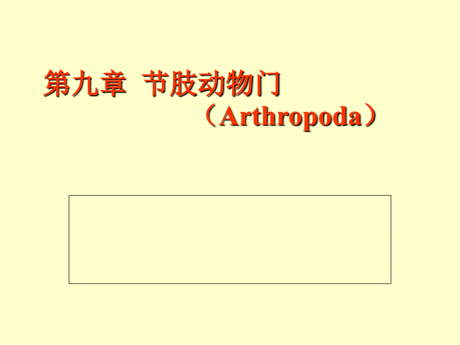 肢动物和笔石动物(复习用).ppt_第1页