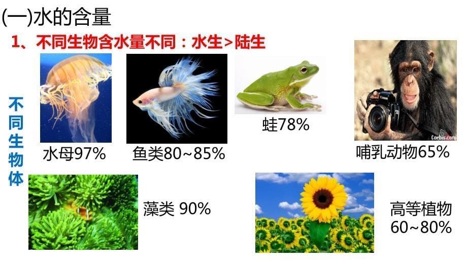 【课件】+细胞中的无机物课件2023-2024学年高一上学期生物人教版必修1_第5页