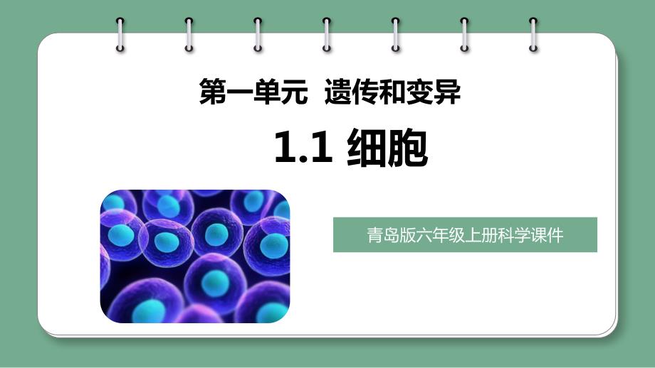 第1课 细胞（教学课件）六年级科学上册（青岛版）_第1页