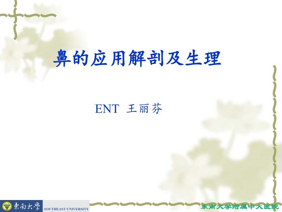 鼻的应用解剖及生理.ppt_第1页