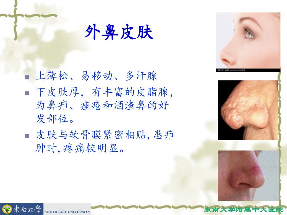 鼻的应用解剖及生理.ppt_第4页