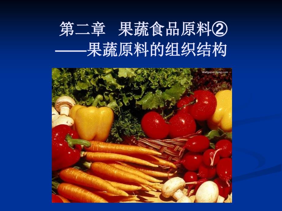 食品原料学6果蔬组织结构_第1页