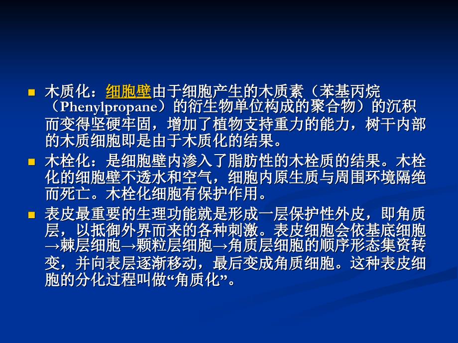 食品原料学6果蔬组织结构_第4页