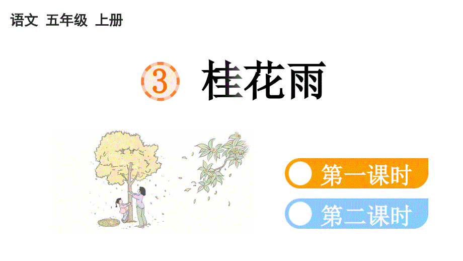 小学语文部编版五年级上册第3课《桂花雨》课件（2023秋新课标版）_第1页