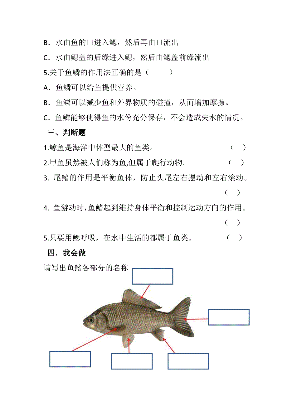 1-2 鱼（练习）四年级科学上册同步练习（青岛版）_第2页