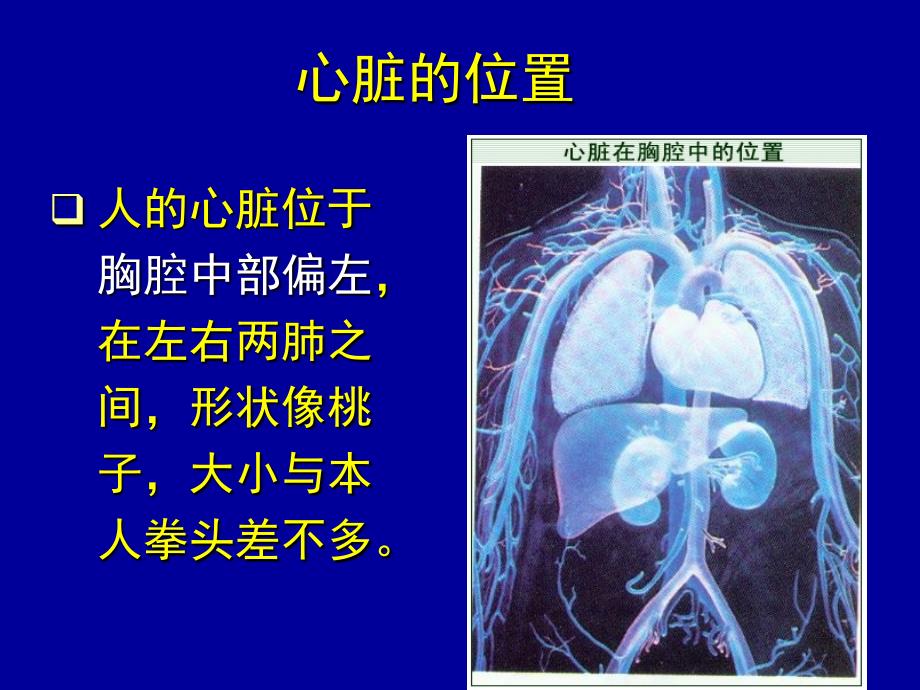 把手放在胸前感受心跳说出心脏的位置_第2页