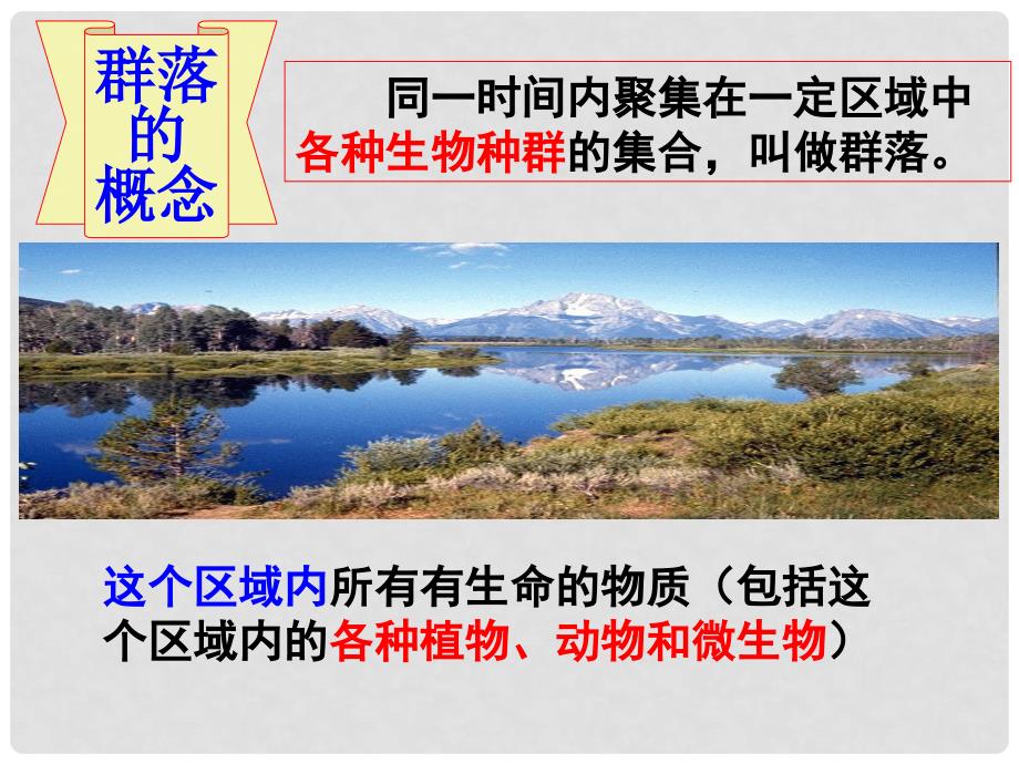 江西省余江县高考生物一轮复习 群落的结构和演替课件_第2页