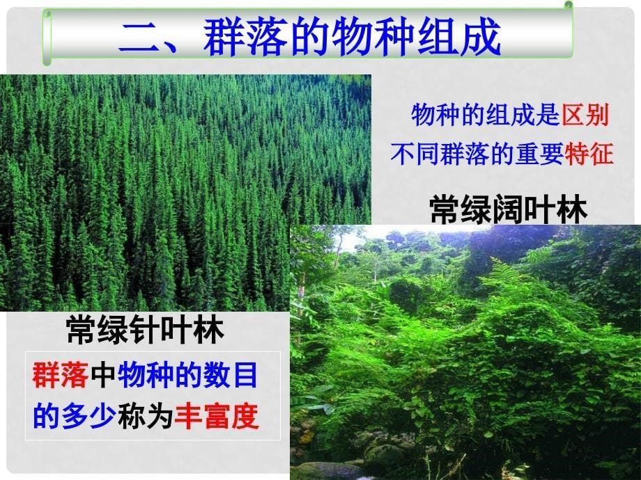 江西省余江县高考生物一轮复习 群落的结构和演替课件_第5页