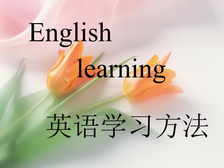 课标高中英语1(必修)学习方法.ppt_第1页