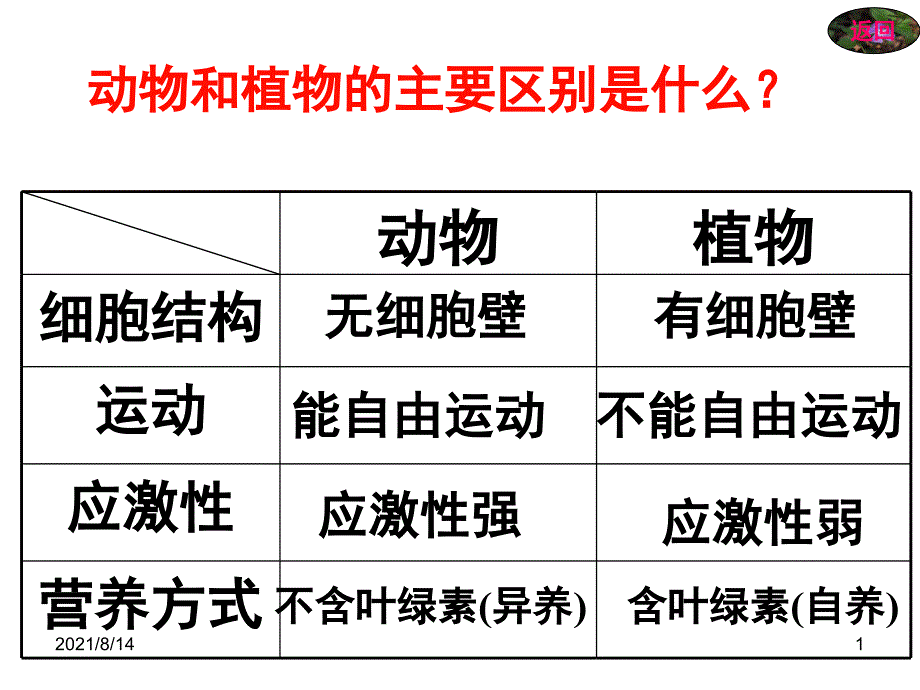 1.原生腔肠扁形动物门_第1页