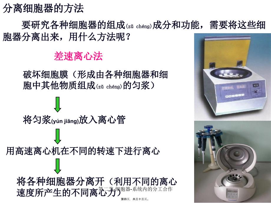 第二节-细胞器-系统内的分工合作课件_第4页