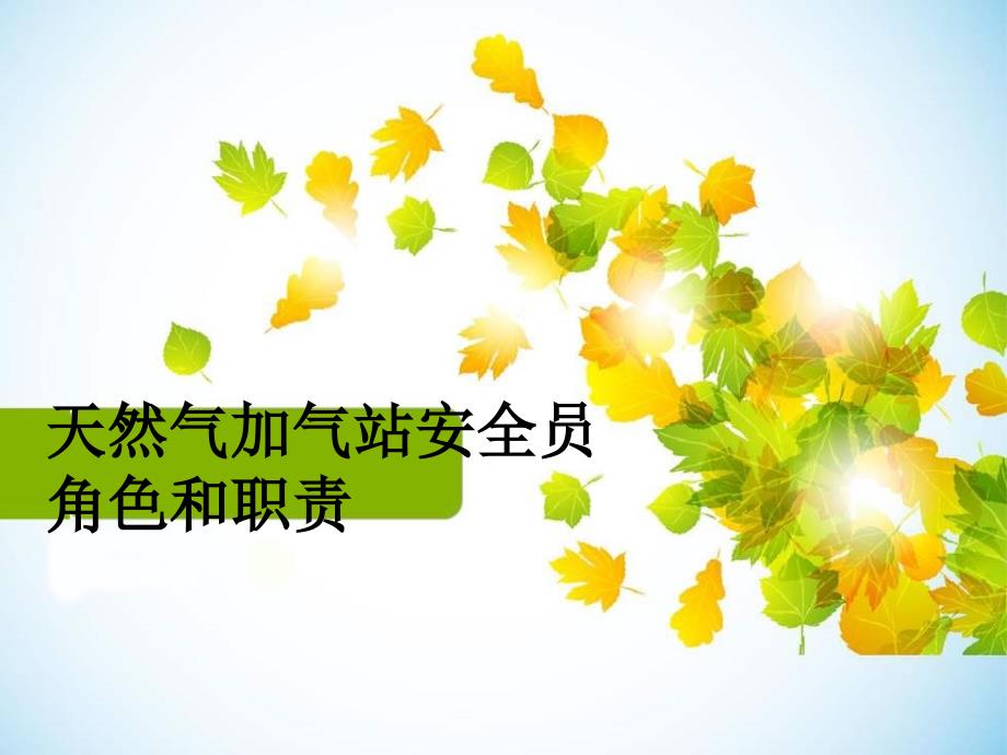 安全员角色和职责.ppt_第1页