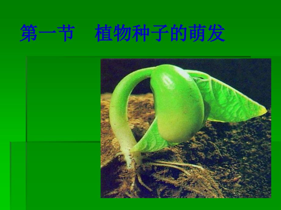 植物种子的萌发定稿_第4页